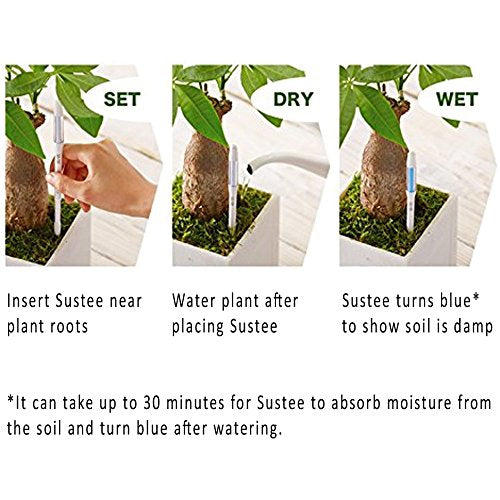 IPPINKA Sustee Aquameter, White, Small, Set of 2 - Soil Moisture Meter for Potted Plants - Plant Water Sensor (Refillable Style)