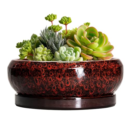 Succulent Planters 6 Inch - Ceramic Bonsai Pots with Drainage Hole and Saucer, Small Bonsai Planter, Round Planter Bowl, Shallow Plant Pots Indoor, Room Decor, Gifts for Plant Lovers, Red - color: Leopard Red, size: 6 Inch