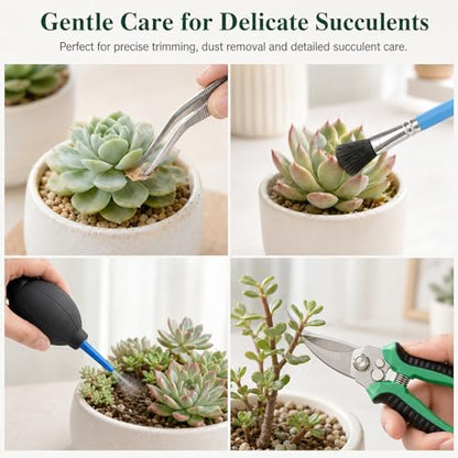 25 Pcs Succulent & Bonsai Tools Set for Beginners, Indoor Plant Care Tool Set with Repotting Mat, Organizer Tote, Soil Moisture Meter, Pruning Shears, Mini Garden Tools, Gardening Gift for Women Men