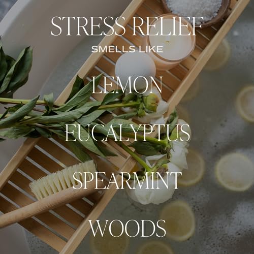 Sweet Water Decor Stress Relief Reed Diffuser Set - Eucalyptus, Spearmint, Citrus, Sage Scented Diffusers - Scent Diffusers for Home, Long Lasting Fragrance, Made in the USA - style: Stress Relief