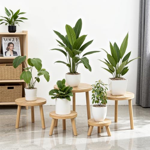 Wood Plant Stands 5-Pack Indoor, Plant Stool, Light Brown | Premium carbonized pine with moisture-resistant, burr-free finish, Snap together in 60 seconds, no tools needed - color: Light Brown, size: 5-Pack