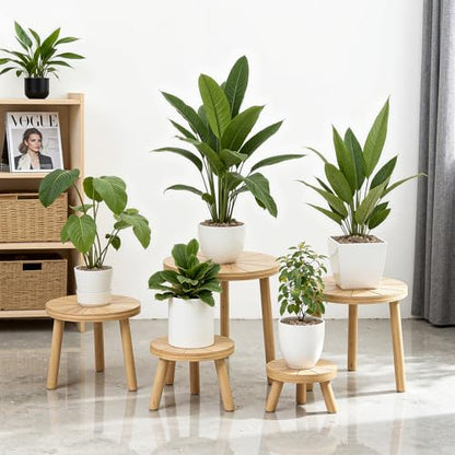 Wood Plant Stands 5-Pack Indoor, Plant Stool, Light Brown | Premium carbonized pine with moisture-resistant, burr-free finish, Snap together in 60 seconds, no tools needed - color: Light Brown, size: 5-Pack