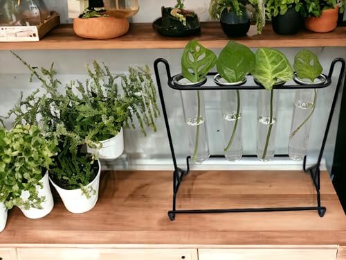 Grace River Propagation Station, Iron & Glass Planter, 8x8x8 inches, 4 Test Tubes, Indoor & Outdoor - color: Black