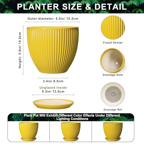 6 Inch Plant Pot, Ceramic Planter with Drainage Hole and Saucer, Decorative Small Plant Pots for Indoor Plants, Modern Round Flower Pot, Home Office Room Decor, House Warming Gifts, Yellow - size: 6 Inch, style: Yellow