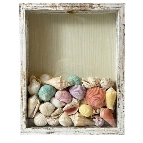 Ticket Shadow Box 8×10 Top Loading Display Case Frame with Top Slot on Top, for Wedding Photos,Baby Keepsakes,Sporting Events Ticket Stubs Beer Caps Movie Trave and Memory Keepsakes Box - color: Rustic White, size: 8×10