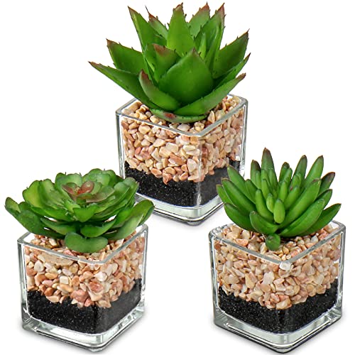 Briful Mini Fake Plants 3 Packs Cute Succulents Artificial Plants in Square Glass Vase Pot Potted Faux Succuletns for Living Room Dining Room Bathroom Kitchen Windowsill Table Decor - color: 3pcs Succulents#05