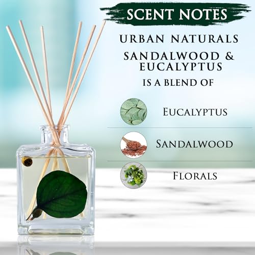 Reed Diffuser Set, Sandalwood & Eucalyptus - Bathroom Décor | Made with Essential Oils & Real Botanicals, Sleek Rectangular Refillable Glass Bottle, Made in the USA - color: Sandalwood & Eucalyptus
