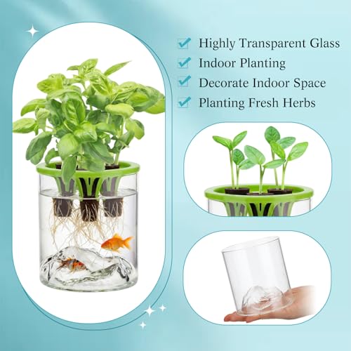 3 Sets Hydroponic Planter Pot Kit Plant Propagation Station Vase Terrarium Glass Planter Indoor Self Watering Planters Herb Garden Kit for Seed Starting Root Monitoring Garden