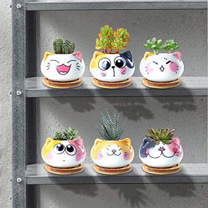 3.6Inch Cat Pot for Plant, Cat Planter Succulent Pot with Drainage Set of 6 | Tiny Animal Planter, Small Ceramic Air Plant Cat Flower Pots, Cactus Planters Containers with Bamboo Tray - color: Sitting Cats 6pcs