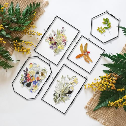 5 Pcs Pressed Flower Frames with Tweezers, Wall Hanging Tabletop Display Double Glass Frames with Metal Chain for Pressed Dried Flowers Plants, Horizontal and Vertical Picture Frame, Black - color: Black-5