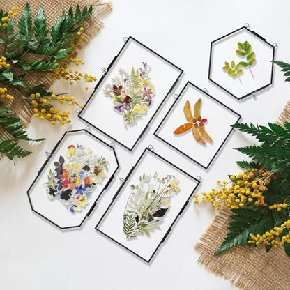 5 Pcs Pressed Flower Frames with Tweezers, Wall Hanging Tabletop Display Double Glass Frames with Metal Chain for Pressed Dried Flowers Plants, Horizontal and Vertical Picture Frame, Black - color: Black-5