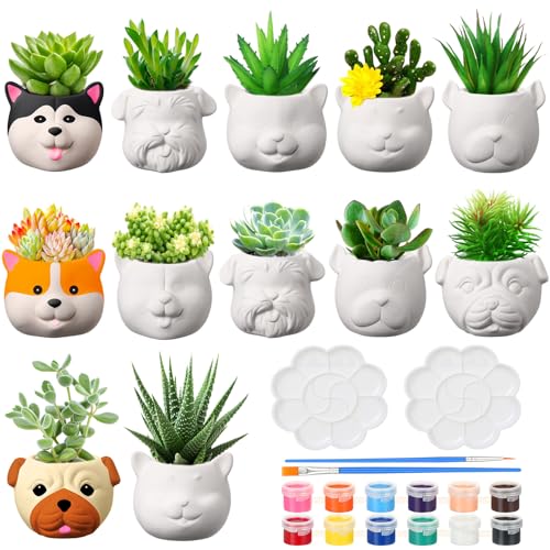 Hushee 12 Sets Ceramic Succulent Planters Paintable Succulent Plant Pots Small DIY Figurines Unpainted Pots with Drainage Hole Color Paints Paintbrushes Palettes - color: Dog