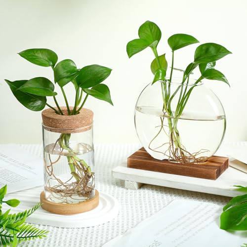 Layhit 4 Pcs Plants Propagation Stations vases Glass Planters with Wooden Lid and Bamboo Stand for Hydroponic Plants Gardening Gifts for Women Mom Home Office Tabletop Decoration(Novelty Style) - style: Novelty Style