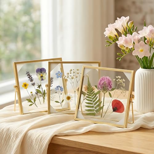 3 Pcs 6 x 6 Picture Frame with Gold Edge, Double Glass Pressed Flower Frame | Fits 4 Inch Picutre, Floating Glass Picture Frame for Dried Flowers, Plant Specimen, Photos, Postcard