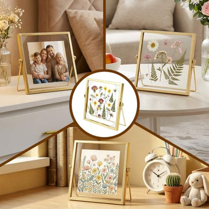 3 Pcs 6 x 6 Picture Frame with Gold Edge, Double Glass Pressed Flower Frame | Fits 4 Inch Picutre, Floating Glass Picture Frame for Dried Flowers, Plant Specimen, Photos, Postcard