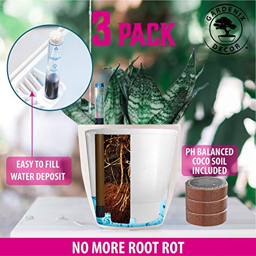 Self Watering Pots for Indoor Plants 3 Pack - Flower Pot with Water Level Indicator for Plants, Grow Tracking Tool - Self Watering Planter Plant Pot - Coco Coir - White