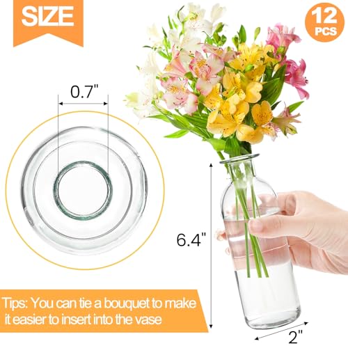 Peohud Set of 12 Glass Bud Vases, Clear Small Flower Vases, Decorative Glass Bottles Floral Vases for Home Decor, Wedding Reception, Party