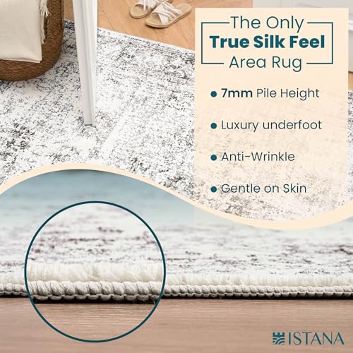 Grey & Beige 3x5 Area Rug - Kid & Pet Friendly, Washable - Istana - color: Misty Grey, size: 3' x 5' (Rectangular)