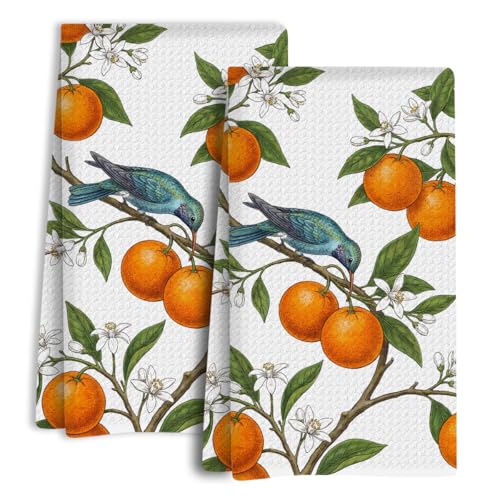 Hummingbird Orange Kitchen Towels Set of 2, Dish Towels for Kitchen Soft Absorbent Tea Hand Towel for Home Dining Room Apartment Cooking, Baking, Decorative Watercolor Tree Design, 13.8 x 23.6 Inch - color: Citrus Bird 1451