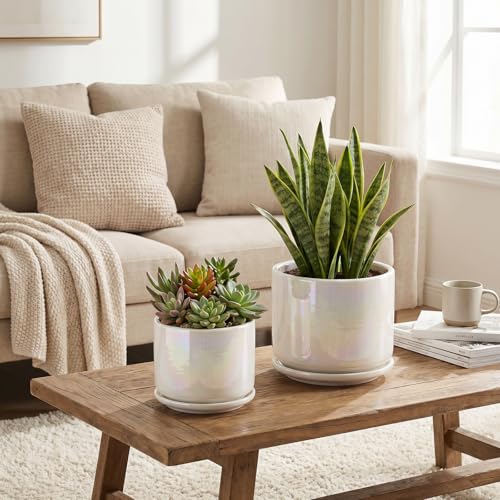 EFISPSS Plant Pots, 4+5+6 Inch Pots for Indoor Plants,Ceramic Planter Pot with Drainage Hole,Flower Pots for Succulent Cactus,Set of 3 - Rainbow Pearl Glaze - color: Rainbow Pearl Glaze