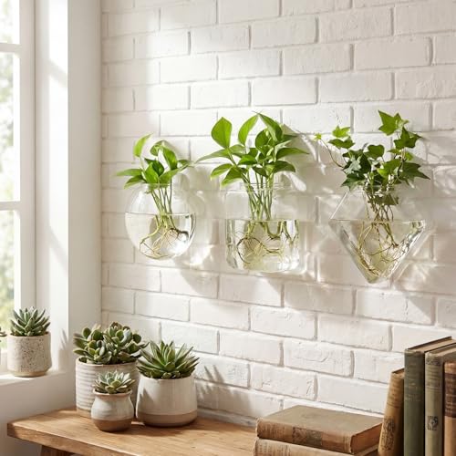 LemonRoad 6 Pcs Wall Hanging Glass Wall Hanging Planter Propagation Station Terrariums Clear Glass Vase Container for Hydroponic Plant Home Office Living Room Bathroom Garden Decor
