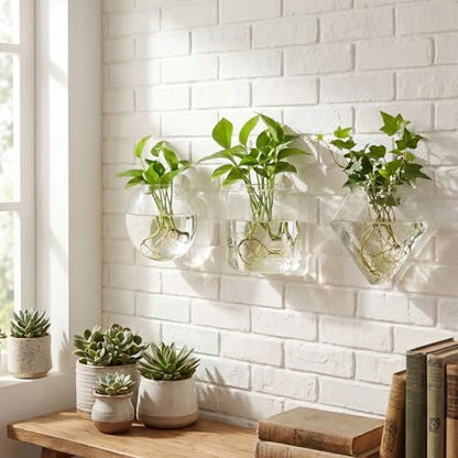 LemonRoad 6 Pcs Wall Hanging Glass Wall Hanging Planter Propagation Station Terrariums Clear Glass Vase Container for Hydroponic Plant Home Office Living Room Bathroom Garden Decor