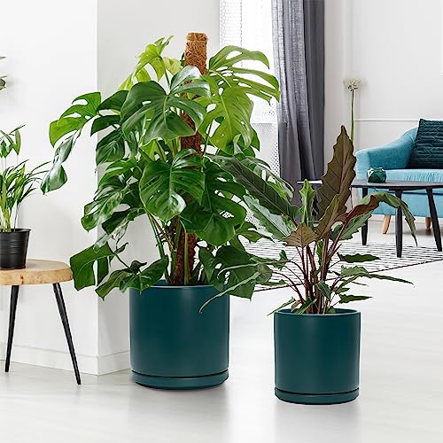 D'vine Dev 2-Pack Ceramic Pots with Saucers, 8/10 in, Teal, 94-G-L-9 | Glazed Ceramic, Drainage Hole, Perfect-Fit Saucer, Sleek Cylinder Shape, High Temperature Fired, Elegant Home Accent - color: Teal, size: Large