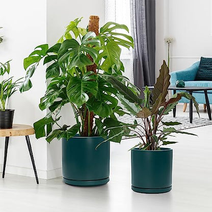 D'vine Dev 2-Pack Ceramic Pots with Saucers, 8/10 in, Teal, 94-G-L-9 | Glazed Ceramic, Drainage Hole, Perfect-Fit Saucer, Sleek Cylinder Shape, High Temperature Fired, Elegant Home Accent - color: Teal, size: Large