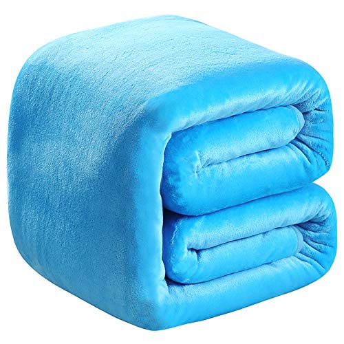 Polar Fleece Blankets Twin Size Light Blue for The Bed Extra Soft Brush Fabric Super Warm Sofa Blanket 66" x 90"(Lake Blue Twin) - color: Lake Blue, size: Twin (90-Inch-by-66-Inch)