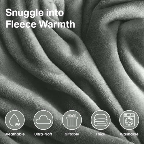 MOONLIGHT20015 Fleece Throw Blanket Super Soft Cozy for Couch, Sofa and Camping Lightweight 400 GSM Luxury Fluffy Microfiber Bed Blankets 50 x 60 Inches (Throw/Travel, Silver) - color: Silver, size: Throw
