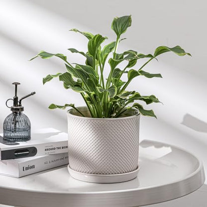 8 Inch Plant Pot: Ceramic Planter with Drainage Hole & Saucer Indoor Outdoor Plants - Flowerpot with Bonded Tray for Home Office - Beaded Embossed Style, Cream White | Indoor/Outdoor Plant Pot with Tray - Flowerpot for Home/Office - Beaded Embosse, Cream