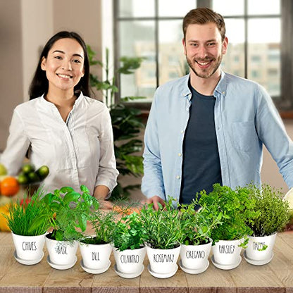 Herb Garden Starter Kit - 8 USA Culinary Herbs | Includes 8 culinary herbs, pots and soil for windowsill, kitchen or patio growing - color: 8 Herb