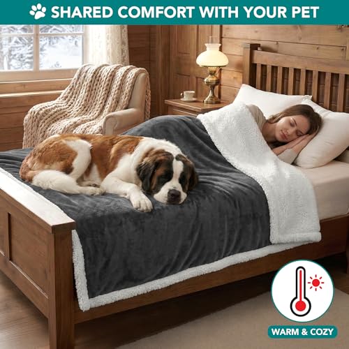 PetAmi Dog Blanket Small Medium Pet Cat Puppy Kitten, 40x29 Mini, Dark Gray | 460 GSM, Soft Sherpa Fleece Throw, Reversible Plush Couch Cover Protector Crate Carrier Sofa Bed Car Seat, Machine Washable - color: Charcoal, size: Medium - 29 X 40 Inches