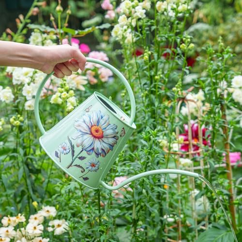 Berry&Bird 2L Long Spout Watering Can, Stainless Steel (Bellis Perennis) | 2L stainless steel watering can, long narrow spout, elegant print, curved handle, leakproof, houseplant watering & decor - color: Bellis Perennis