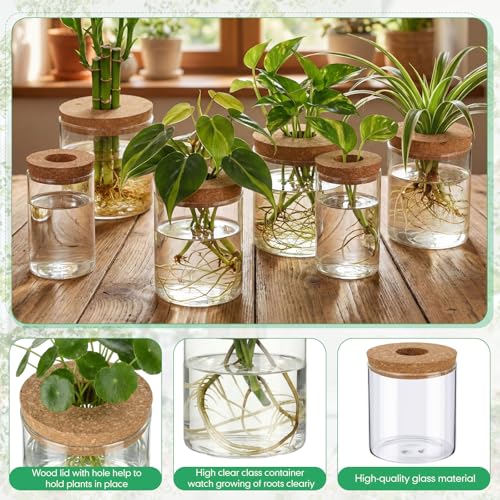 6 Pcs Glass Plant Propagation Stations (2 Large + 2 Medium + 2 Small) Hydroponic Flower Vases Desktop Plant Terrarium Jar for Cuttings, for Living Room, Bedroom, Home Decoration