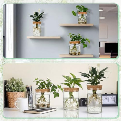 6 Pcs Glass Plant Propagation Stations (2 Large + 2 Medium + 2 Small) Hydroponic Flower Vases Desktop Plant Terrarium Jar for Cuttings, for Living Room, Bedroom, Home Decoration