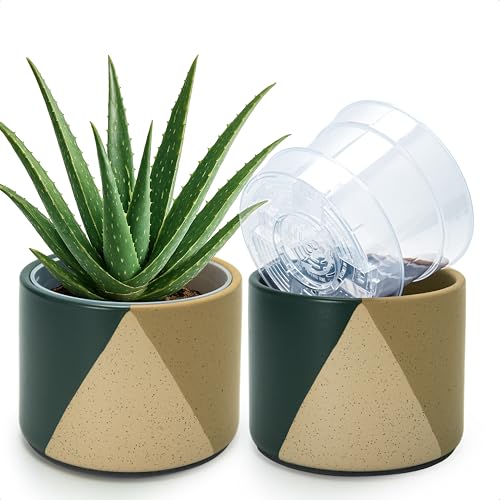 D'vine Dev 2-Pack Cachepot with Clear Pot, 6.5"low, Desert Forest, 93-V-D-1 | Dual-Pot System, Root Visibility, Bottom Watering Support, Enhanced Drainage, Artistic Stoneware Design, Easy Plant Care - color: Desert Forest, size: 6.5” Cachepot + 6“ Clear G