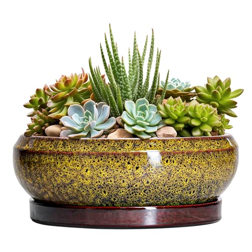 Succulent Planters 8 Inch - Ceramic Bonsai Pots with Drainage Hole and Tray, Shallow Plant Pot Indoor Outdoor, Round Succulent Pots, Planter Bowl, Porch Decor, Housewarming Gifts, Yellow - color: Leopard Yellow, size: 8 Inch