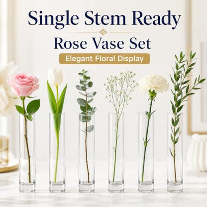 Koyal Wholesale Bud Vases, 7.5 Inch Clear Glass Cylinder, Set of 6