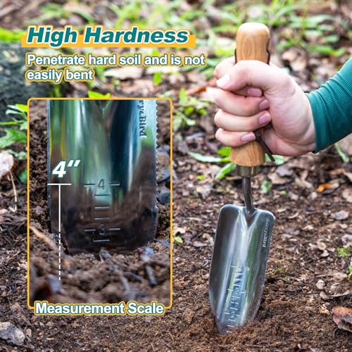 Berry&Bird Potting Trowel, Stainless Steel Serrated Hand Shovel, Wood Handle Garden Trowel Tool with Measuring Scale for Effortless Digging,Roots，Planting, Cutting and Transplanting - color: Potting Trowel