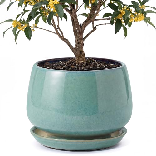 10.3 Inch Ceramic Planter with Saucer,Modern Garden Pots with Drainage Hole Mesh Net, for Indoor Outdoor Use (Blue-Green) - color: Blue-green, size: 10.3 Inch