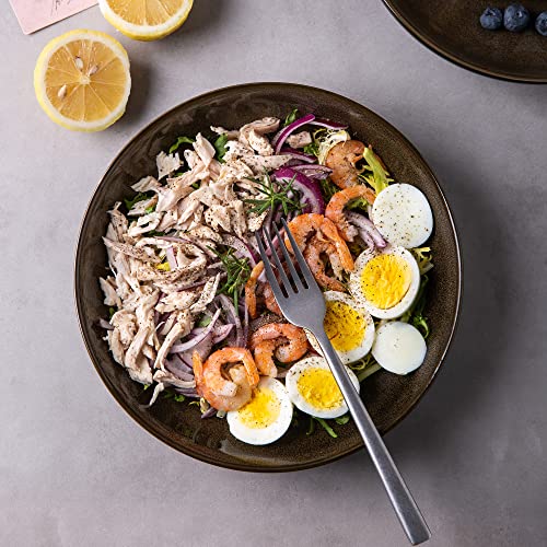 LERATIO 9.0" Ceramic Pasta Bowls Set of 6,38oz Large Stoneware Bowls Set | Reactive Glaze Serving Bowls Set,Wide Bowl for Pasta,Salad,Fruit & Noodles,Housewarming & Wedding Gift-Chestnut - color: Coffee, size: Set of 6