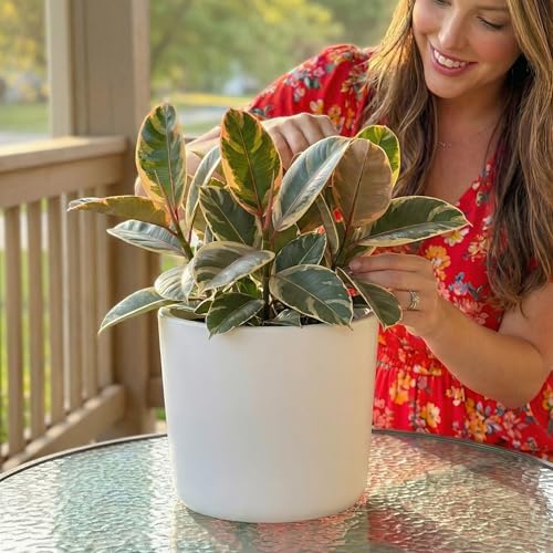 9 Inch Matte White Ceramic Planter with Drainage - Ceramic Plant Pots for Indoor, White Indoor Planter, Flower Pot, 9 Inch Plant Pot