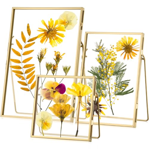3 Pack Glass Pressed Flower Frame Handmade, 4 x 4, 4 x 6, 5 x 7 Floating Picture Frames for Pressed Flowers, Brass Double Glass for Tabletop Display, Plant Specimen, Photos(Gold) - color: Gold, size: 4X4,4X6,5x7Inches
