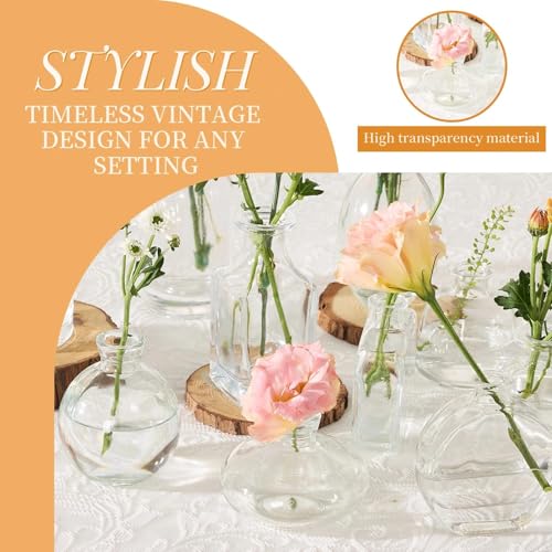 Mini Bud Vases As Wedding Centerpieces for Tables,Clear Bud Vases for Flowers,Small Flower Vases Suitable for Birthday Party,Anniversary,Wedding Reception,Baby Shower (Clear, 12 PCS) - color: 12pcs-2