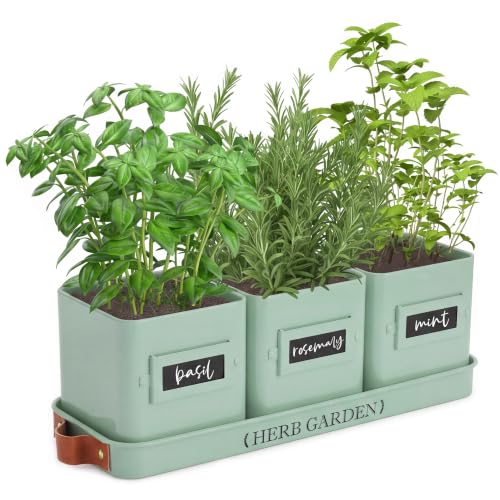 PERFNIQUE Indoor Herb Garden, Herb Planter Set with Tray, Farmhouse Indoor Plant Pots, Windowsill Herb Garden with Drainage(Planter only) for Indoor/Outdoor, Window Pots (Mint) - color: Mint