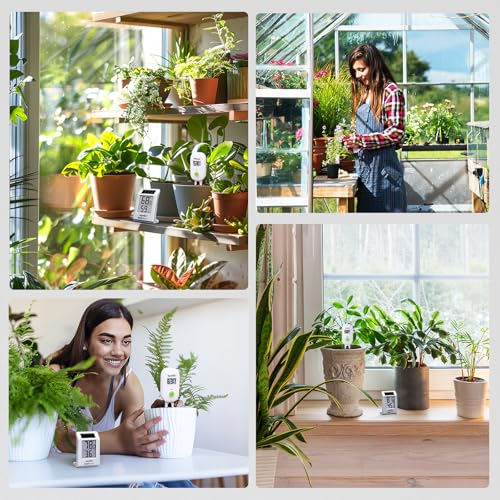 RAINPOINT Light-Driven Thermo-Hygrometer & Smart Digital Wireless Soil Moisture Meter (WiFi Hub Needed) Kit, Real-time Monitor Sensor Gardening Plant Care Essentials - color: Thermo-Hygrometer & Sensor Set