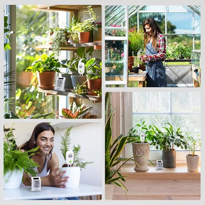 RAINPOINT Light-Driven Thermo-Hygrometer & Smart Digital Wireless Soil Moisture Meter (WiFi Hub Needed) Kit, Real-time Monitor Sensor Gardening Plant Care Essentials - color: Thermo-Hygrometer & Sensor Set