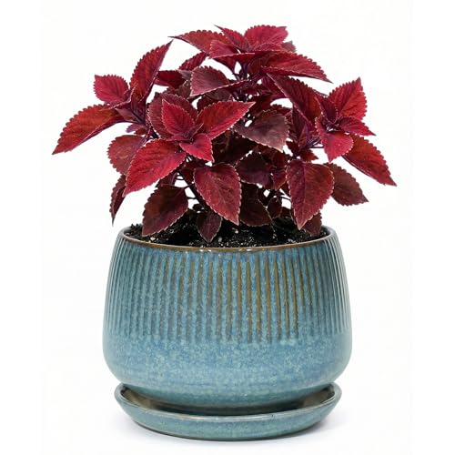 7.5 Inch Ceramic Planter with Saucer,Modern Garden Pots with Drainage Hole Mesh Net, for Indoor Outdoor Use (Crackle Blue) - color: Crackle Blue, size: 7.5 Inch