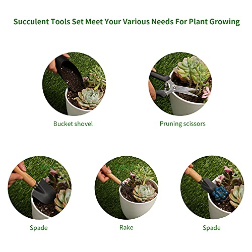 5 Pcs Succulent Tools, Mini Garden Tools, Small Indoor Plant Repotting Set | Pruning Scissors as Plant Accessories, Gardening Hand Tools Kit for Seedling Soil,Caring Succulent,Houseplant,Bonsai - style: Luxury Garden Tools